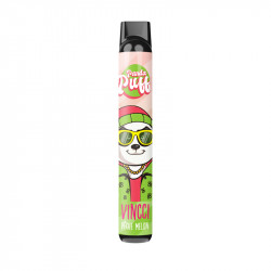 Panda Puff Lemon Lime Disposable Vape